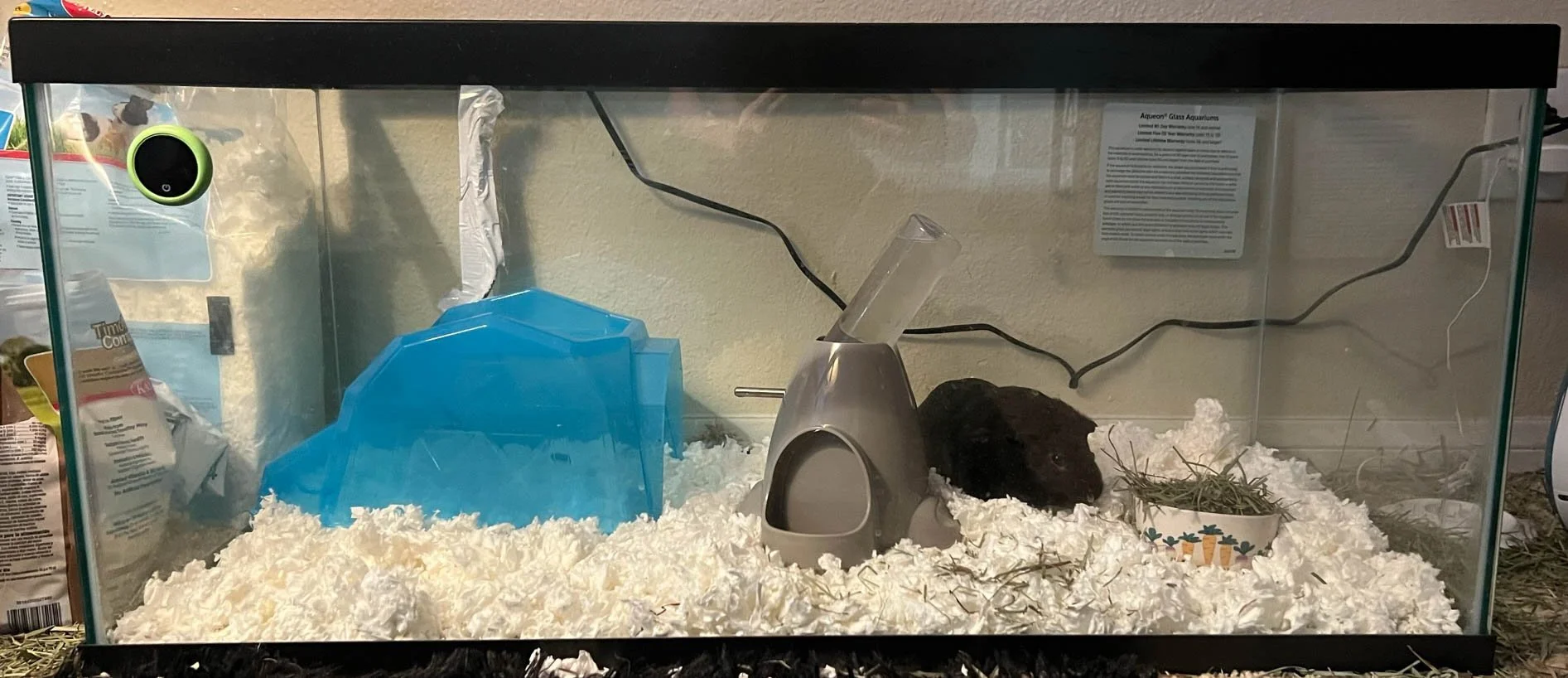 Mammal Residents — Taylor's Aquariums