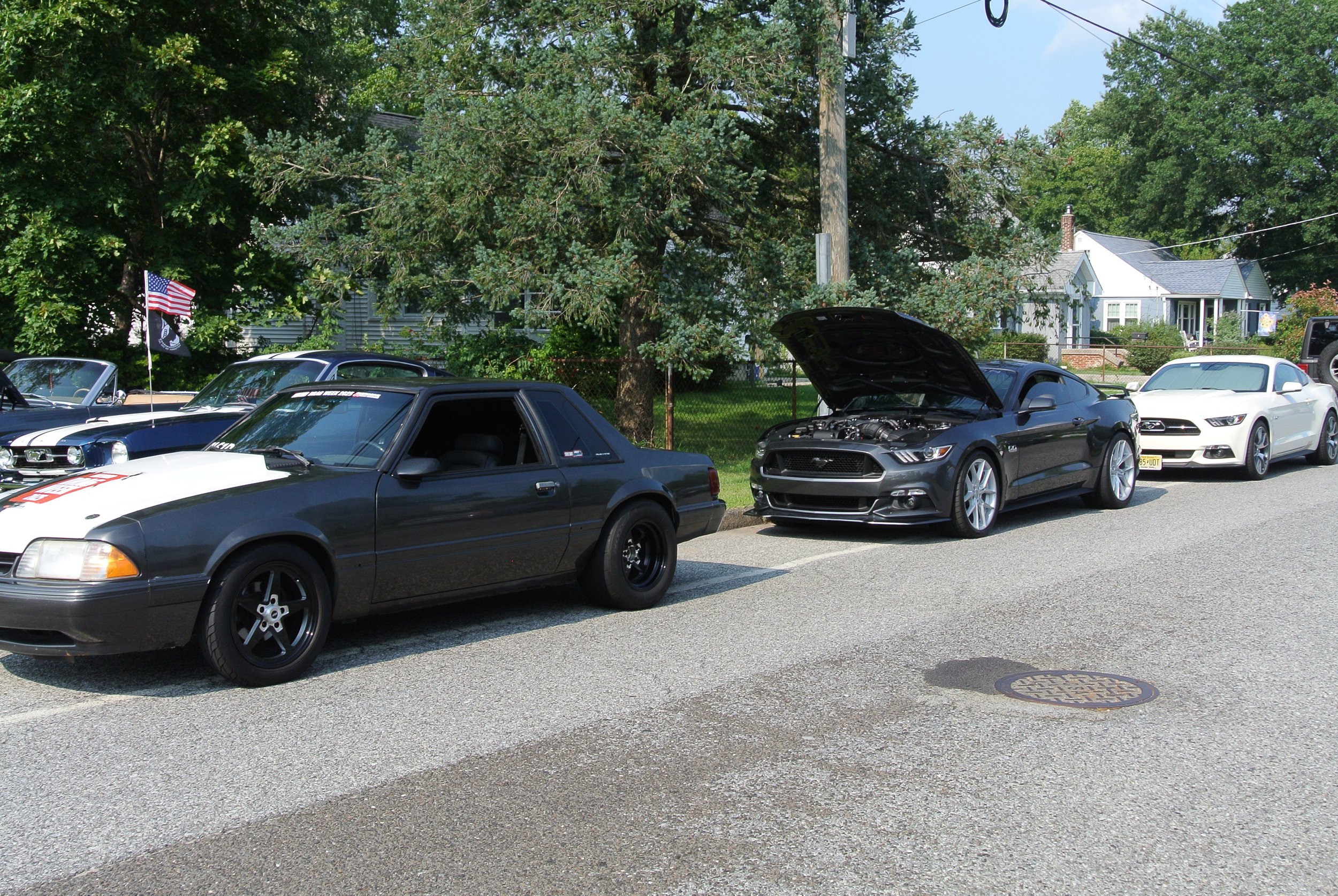DSC_4678.JPG