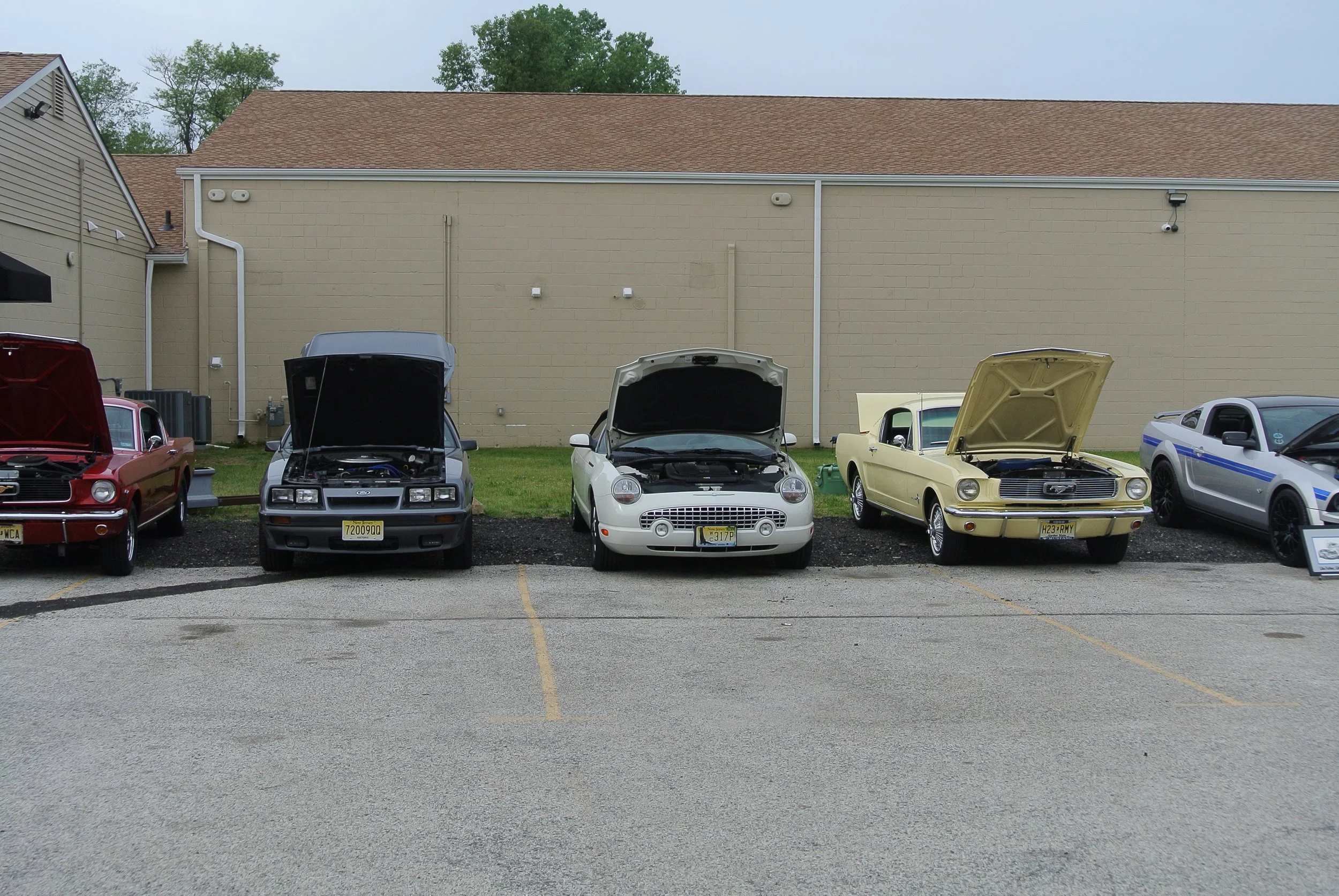 DSC_4165.JPG