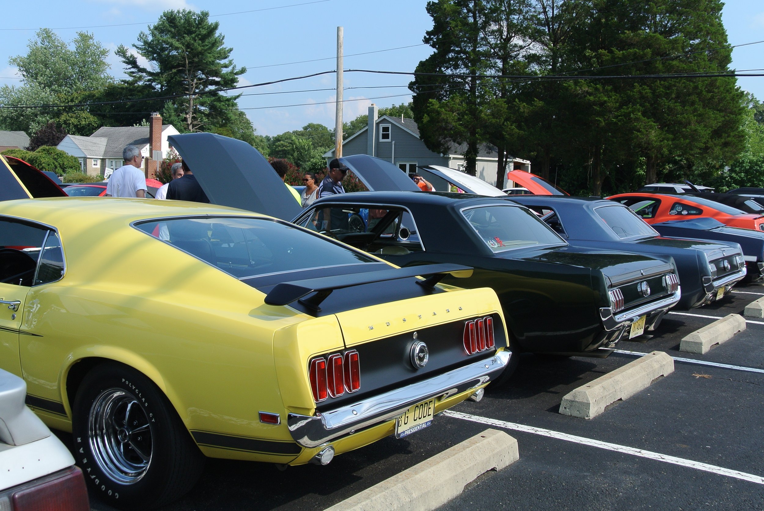 DSC_4663.JPG