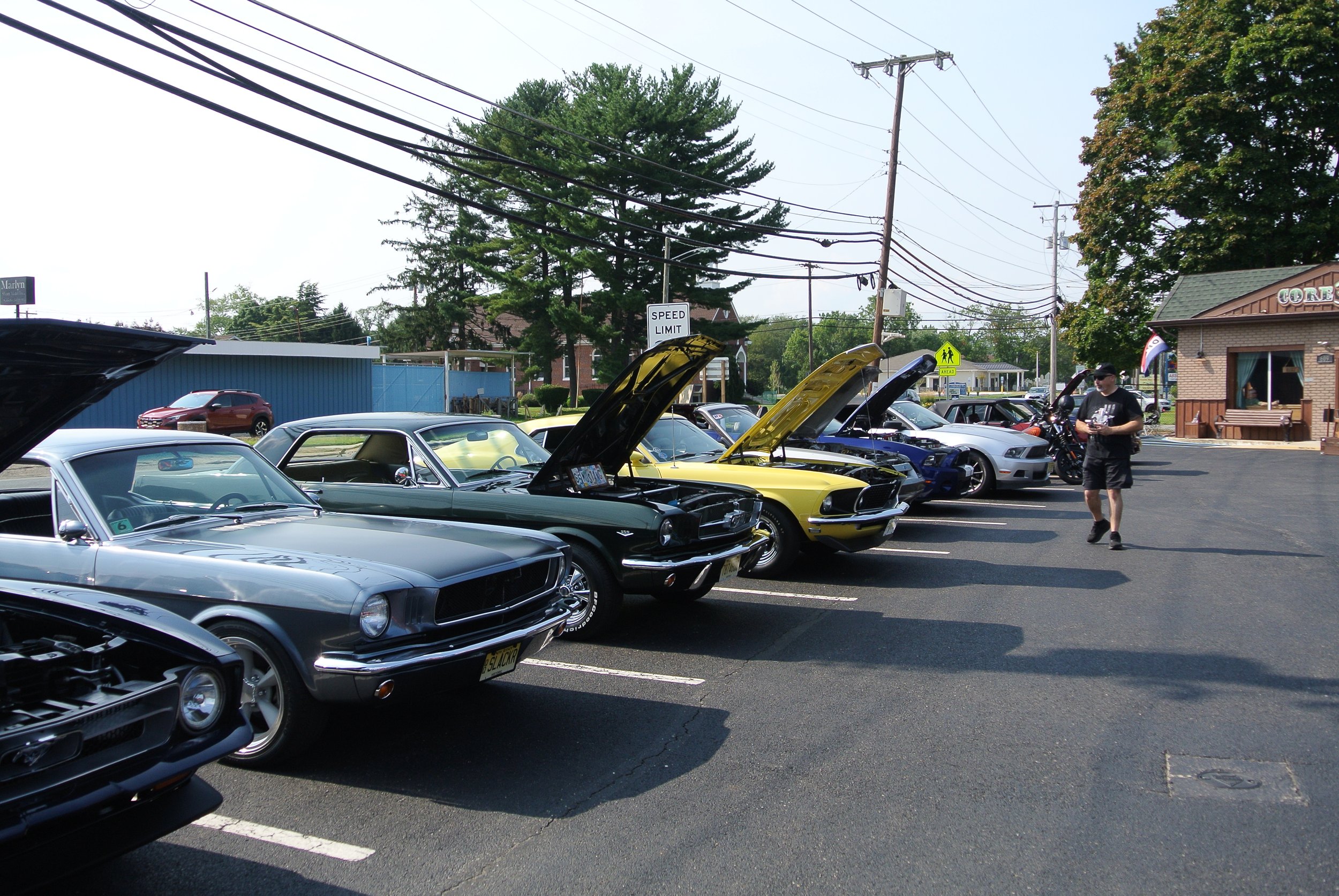 DSC_4651.JPG