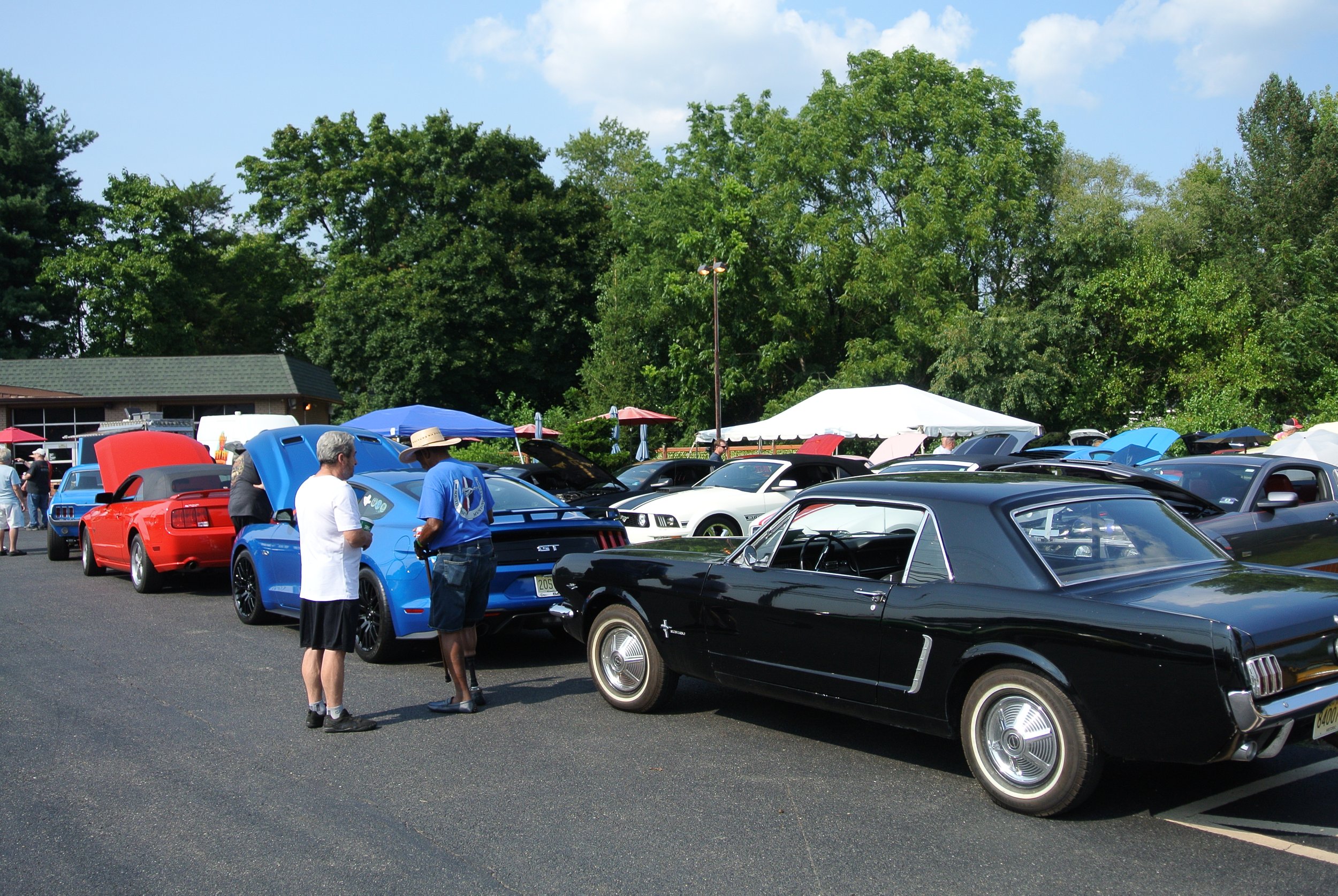 DSC_4649.JPG