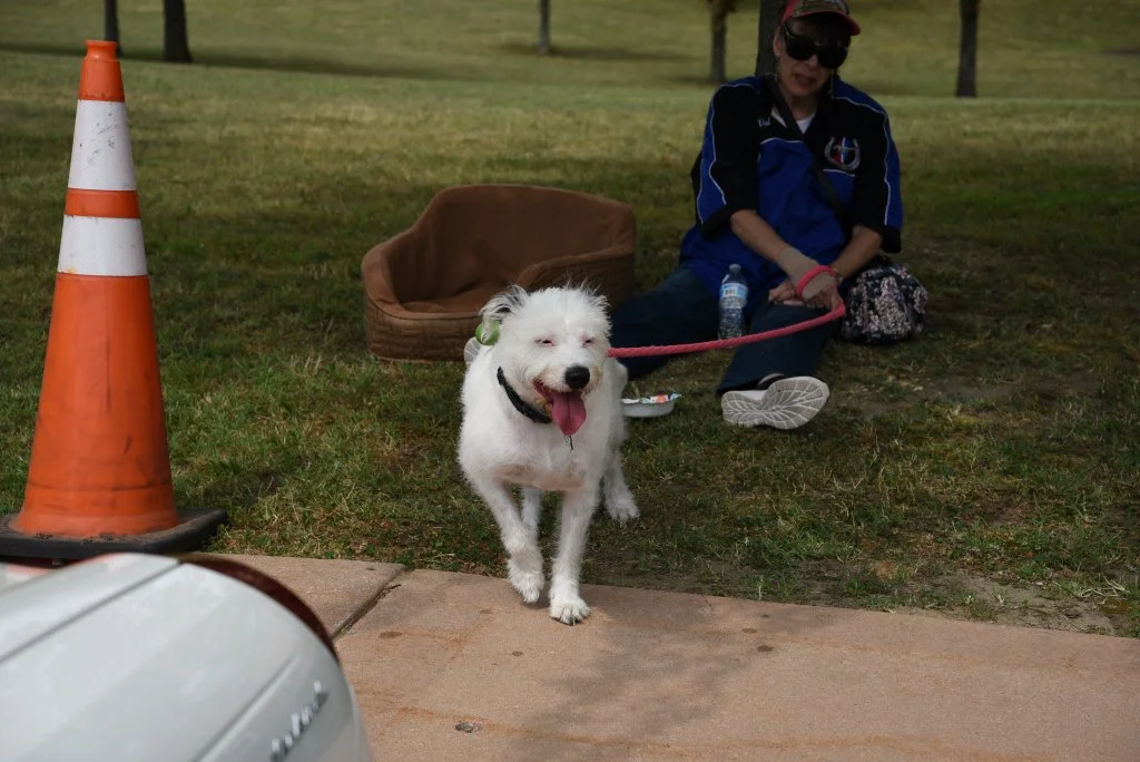 DSC_2266.JPG