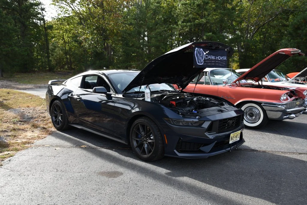 DSC_2819.JPG