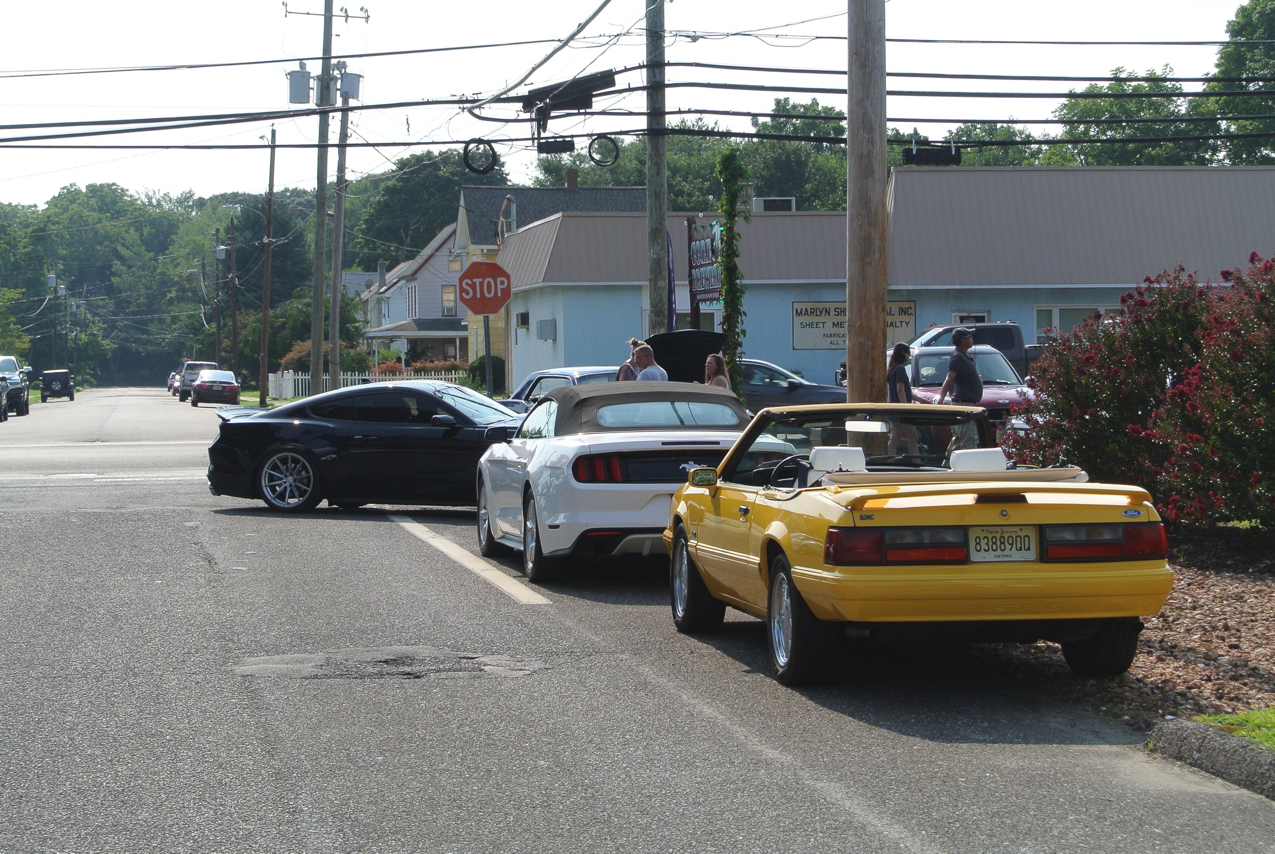 DSC_4677.JPG