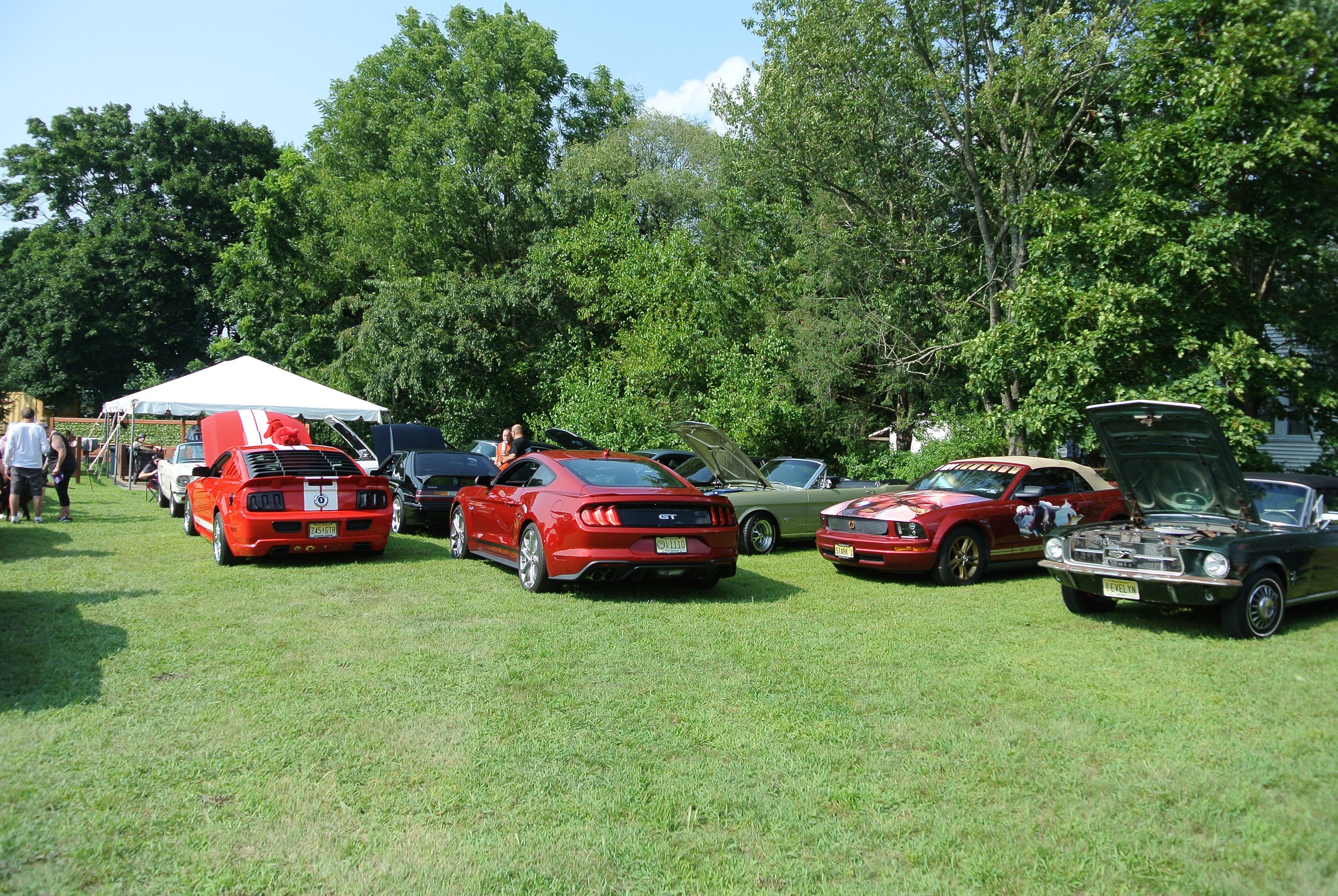 DSC_4646.JPG