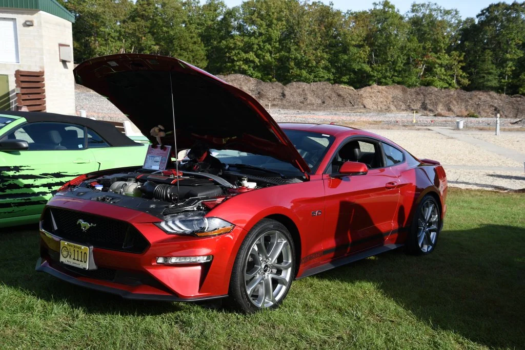 DSC_2793.JPG