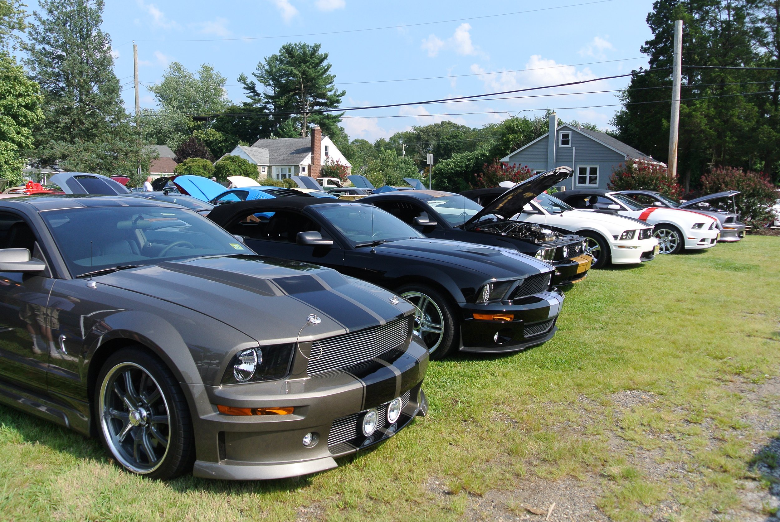 DSC_4655.JPG