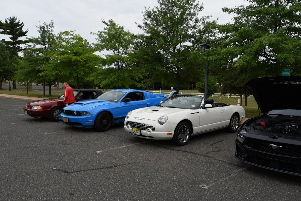 DSC_2242.JPG