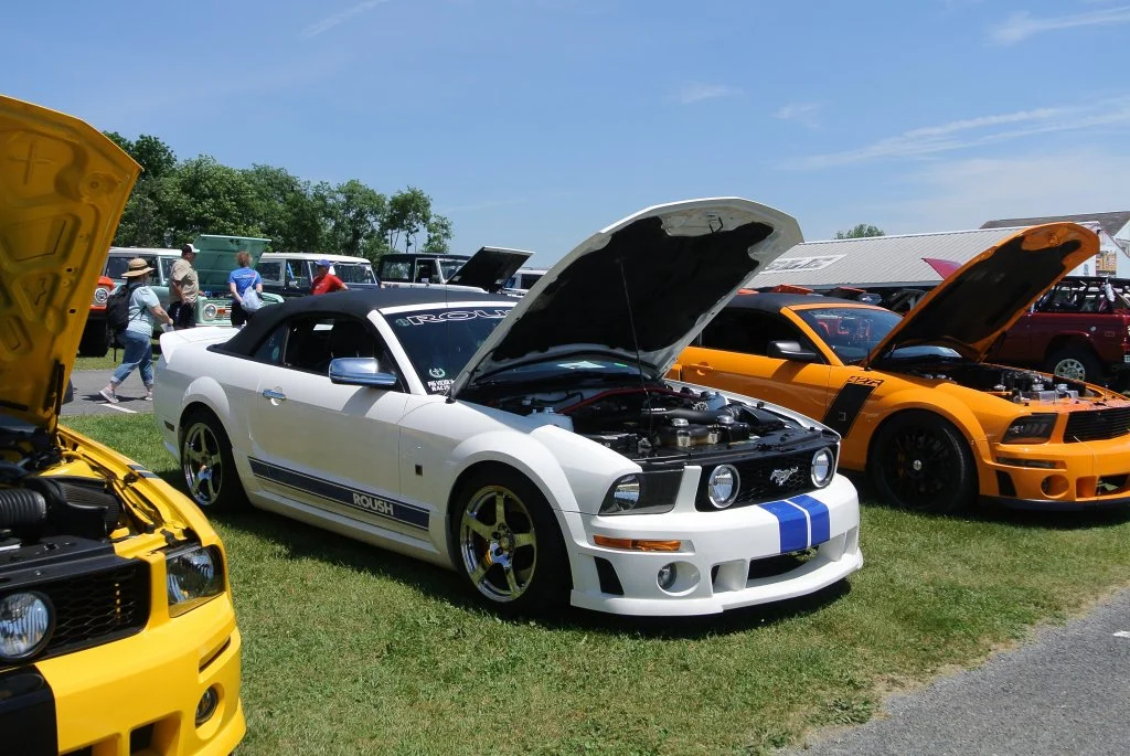 DSC_4363.JPG