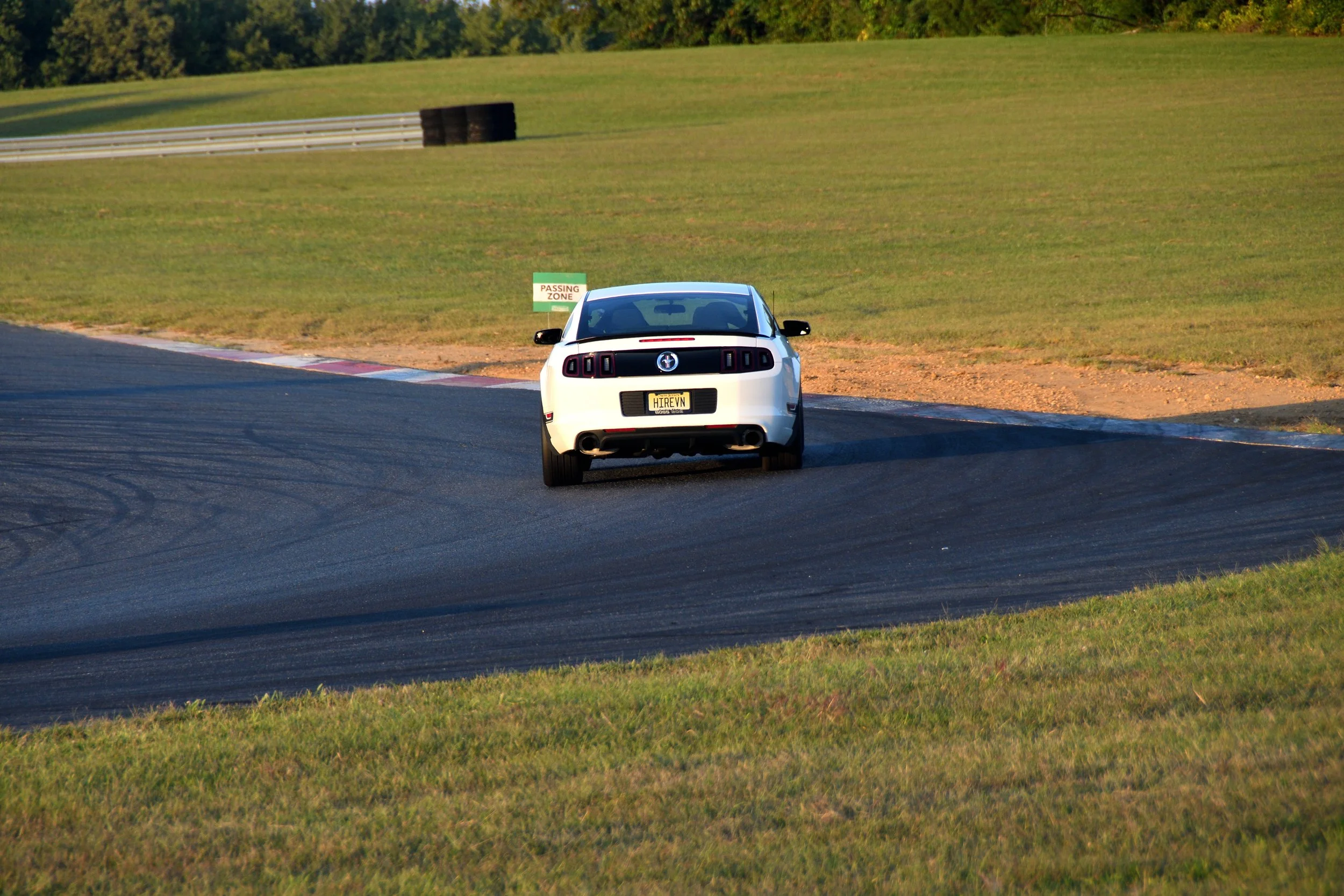 DSC_1537_01.JPG
