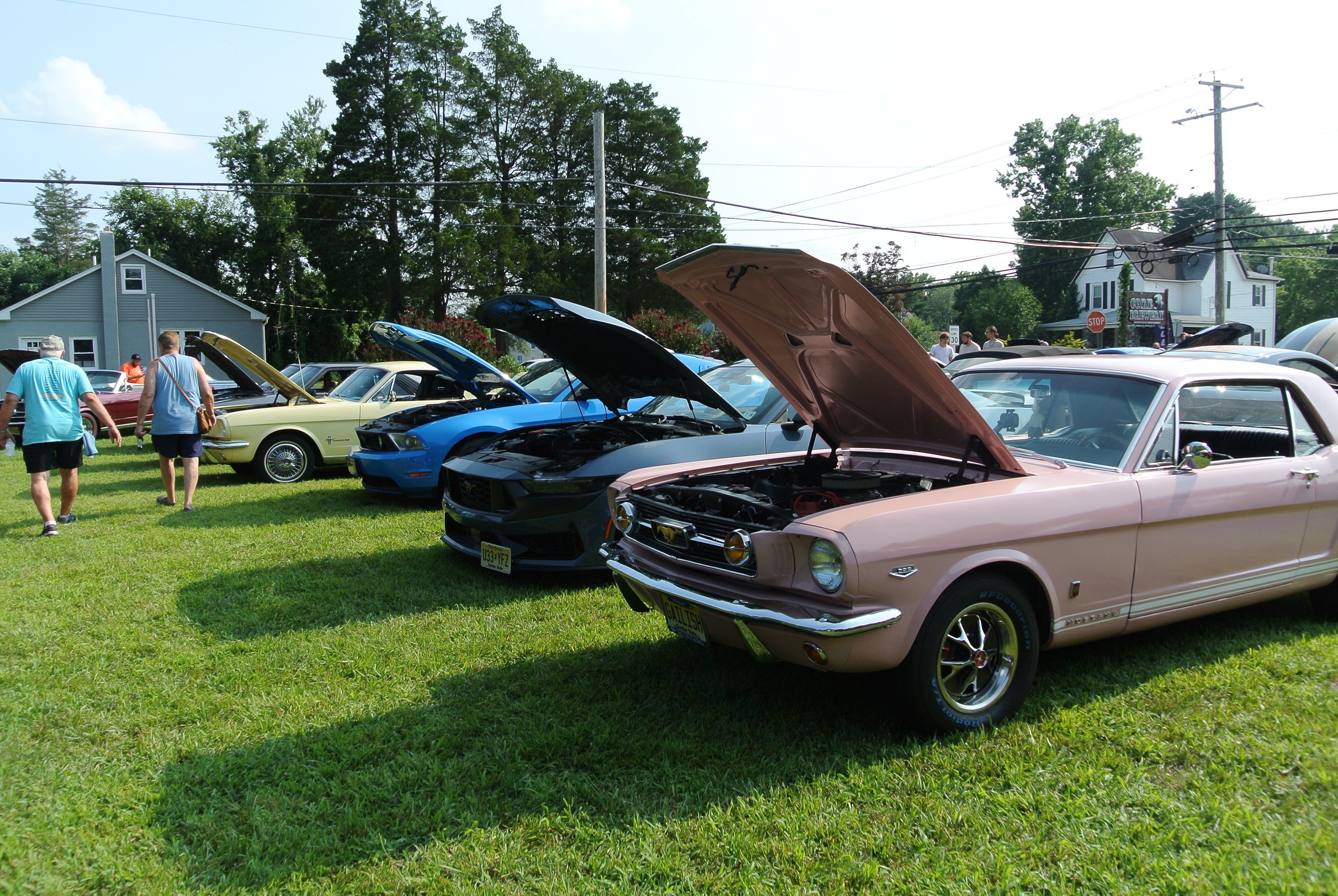 DSC_4670.JPG