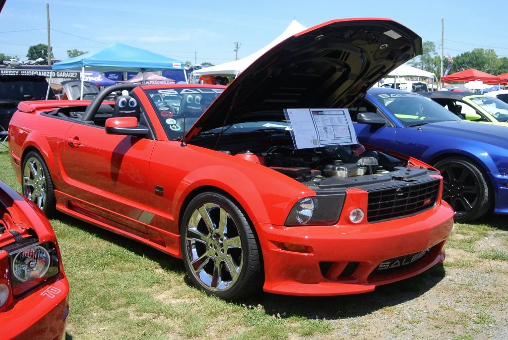DSC_4318_01.JPG