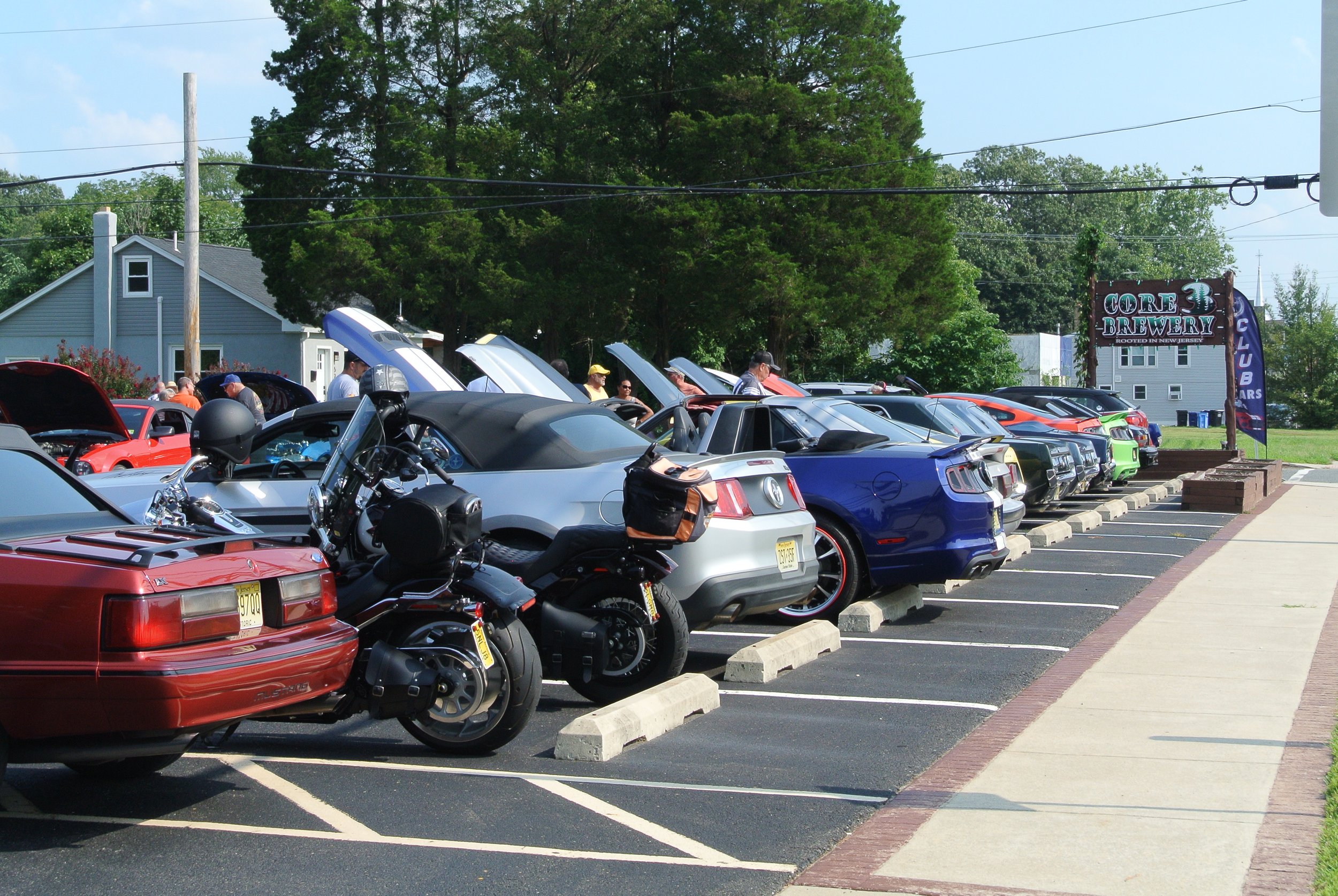 DSC_4662.JPG