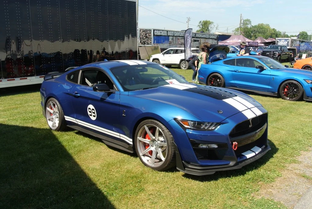 DSC_4424.JPG