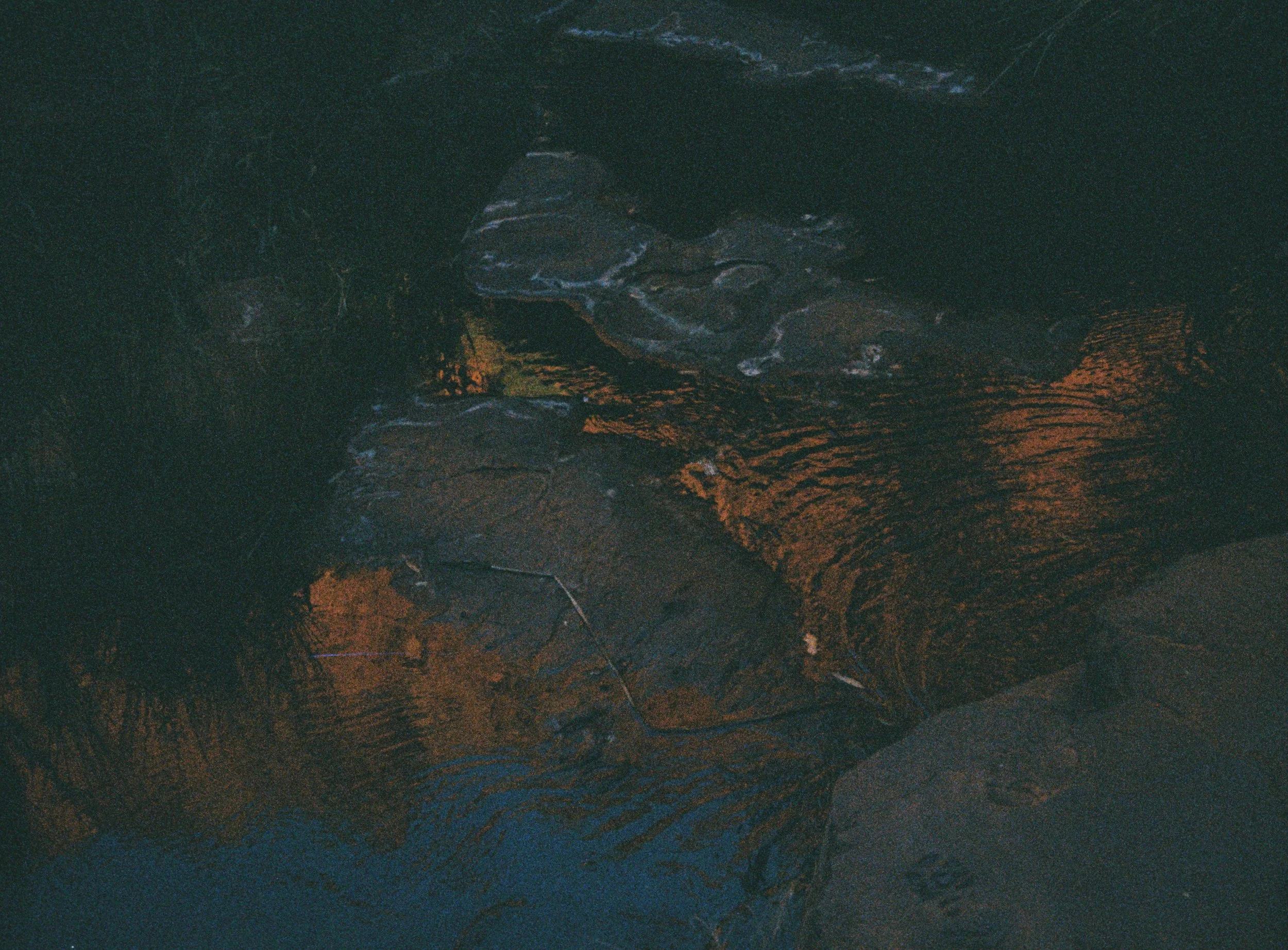 Close-up of textured, layered, dark brown and black wood grain.