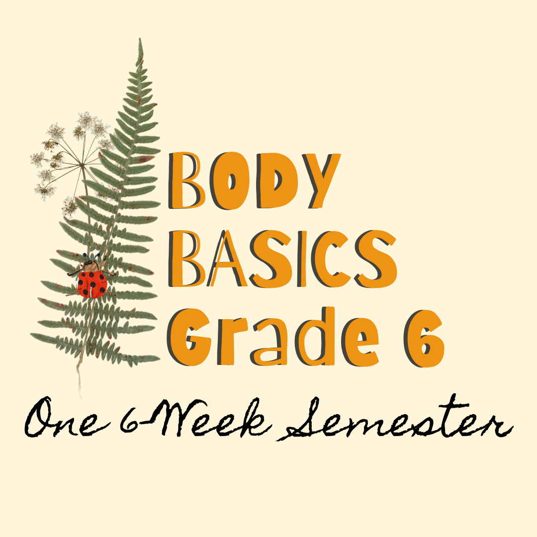 Body Basics Grade 6: One 6-Week Semester