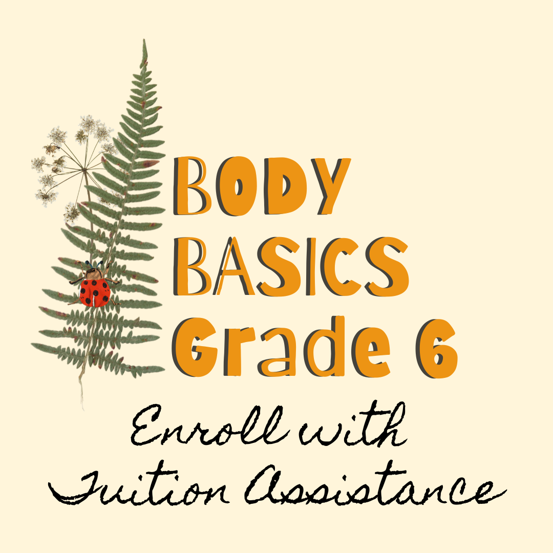 The Dandelion Room (9) copy 7.png