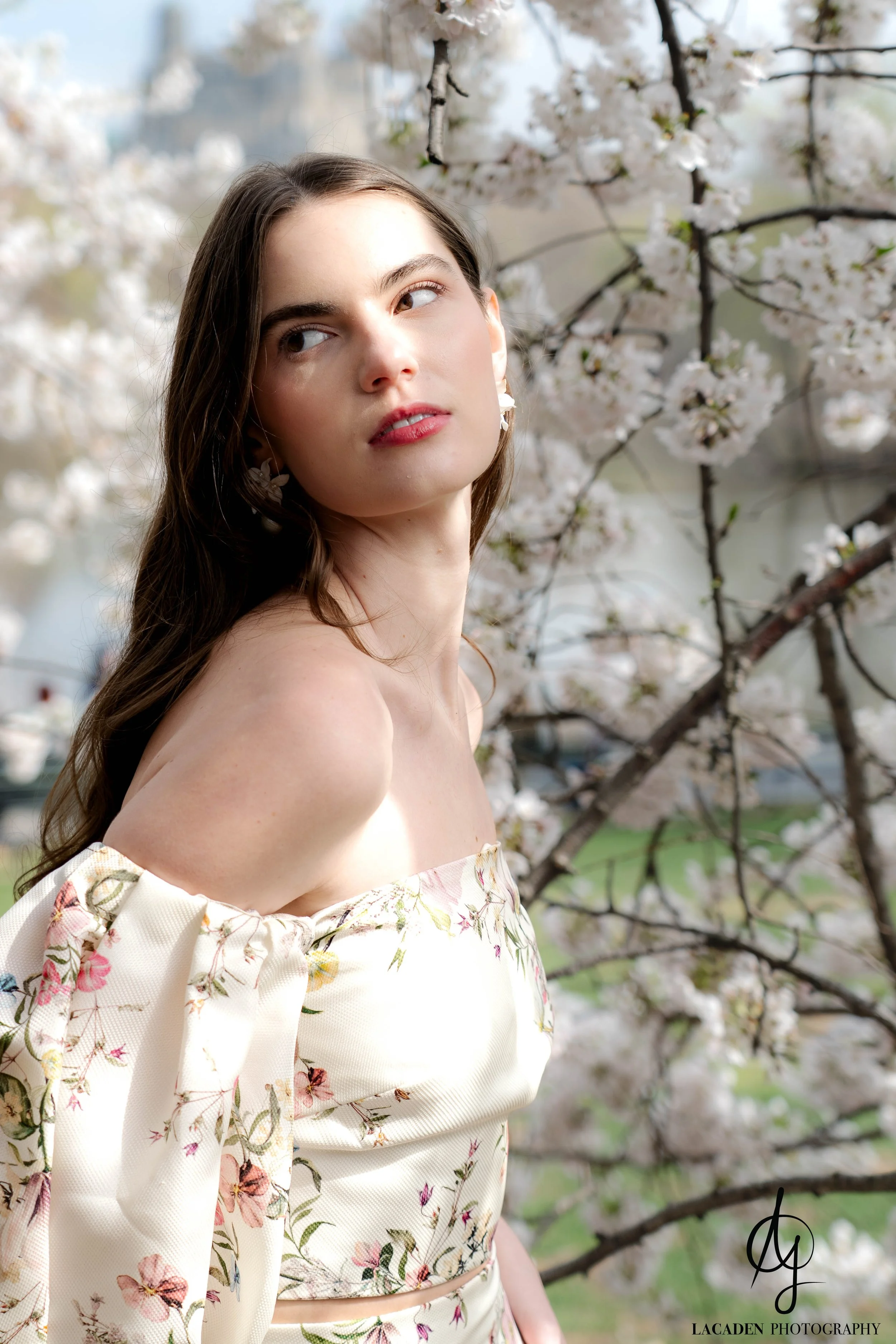 cherry blossom portrait session in Central Park Lacaden Photography