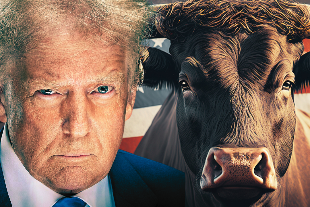 The 2026 Crypto Bull Run: Why Trump’s Tariffs are the Secret Catalyst