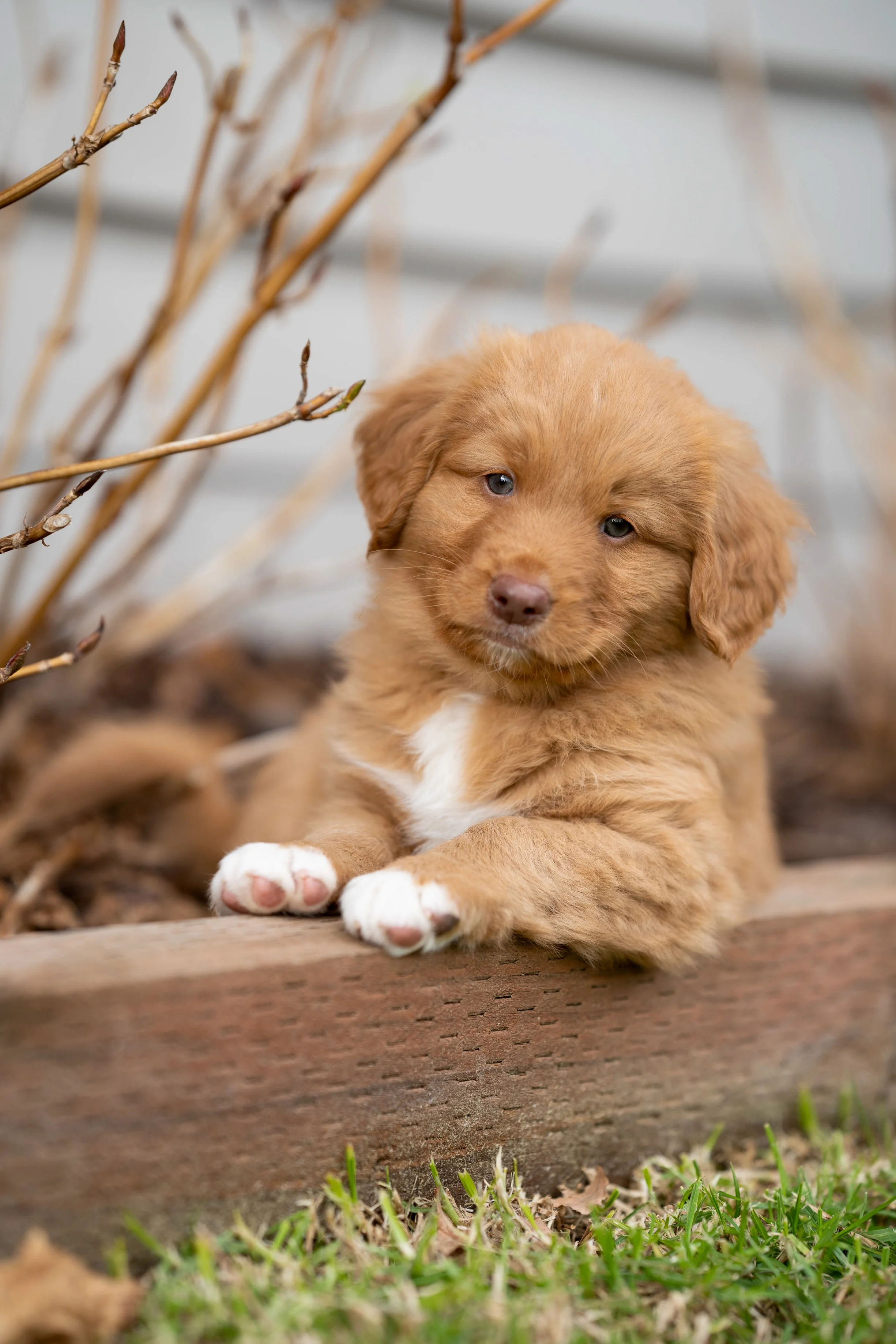 DSC06245.jpg