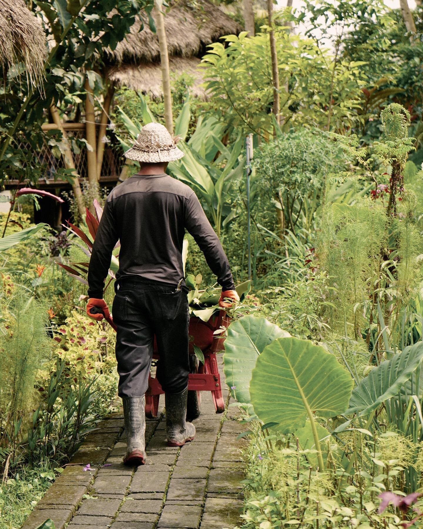 Nurturing nature's enchantment, our gardener's touch brings Mana Earthly Paradise to life.