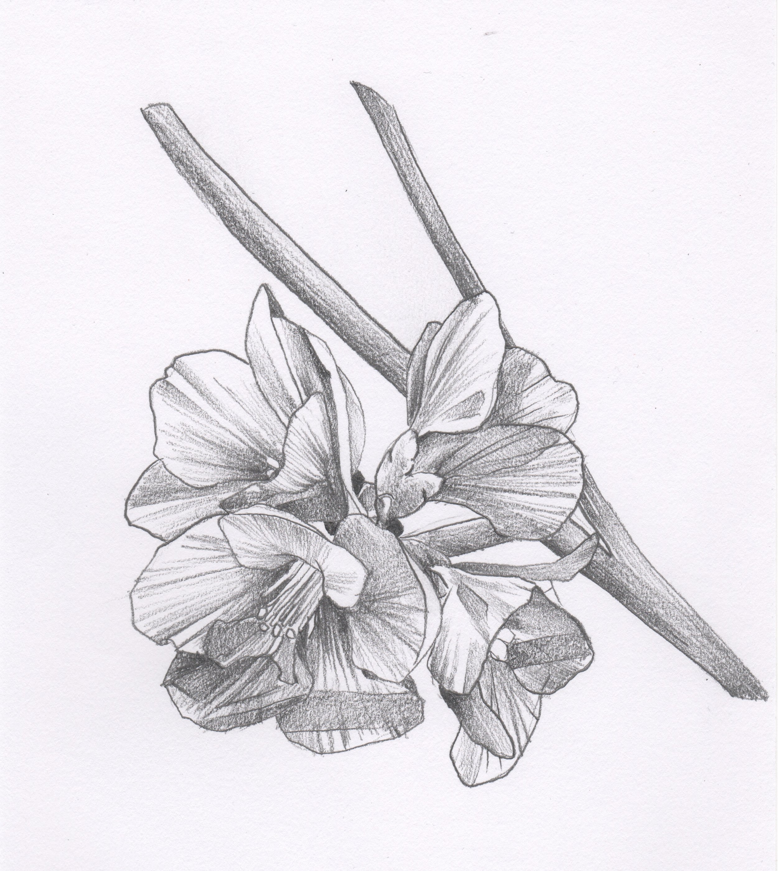 Flower 9.jpeg