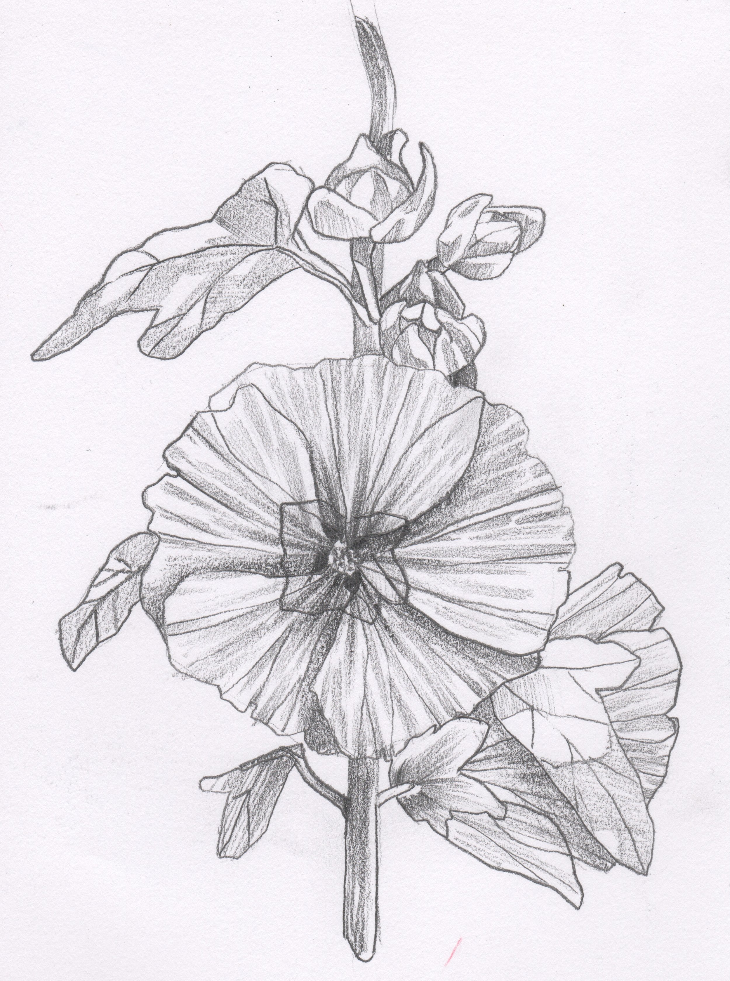 Flower 4.jpeg