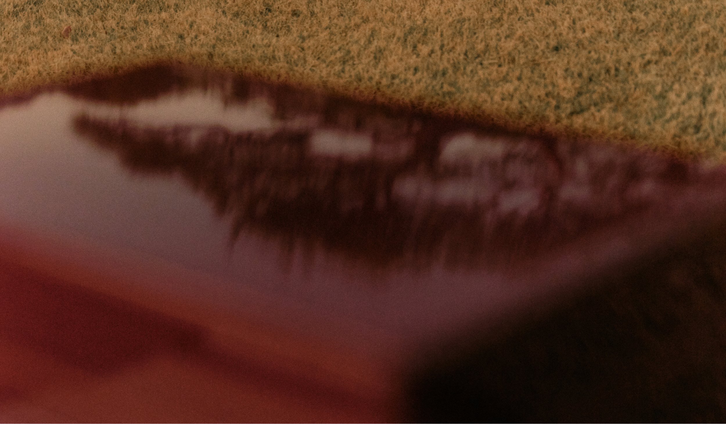 Frame 12.jpg
