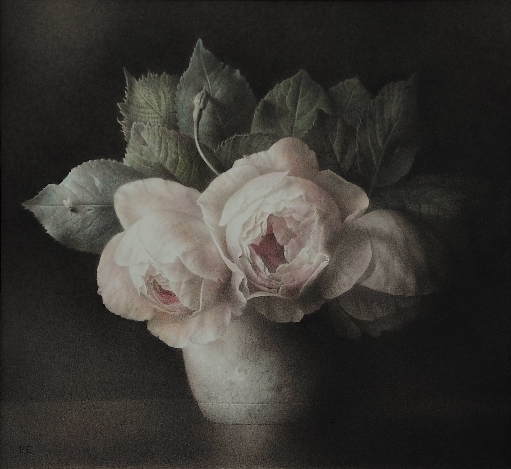 'Flower painting [No.81]'. 2026. Watercolour on Museum Board. 24cm x 26.5cm.