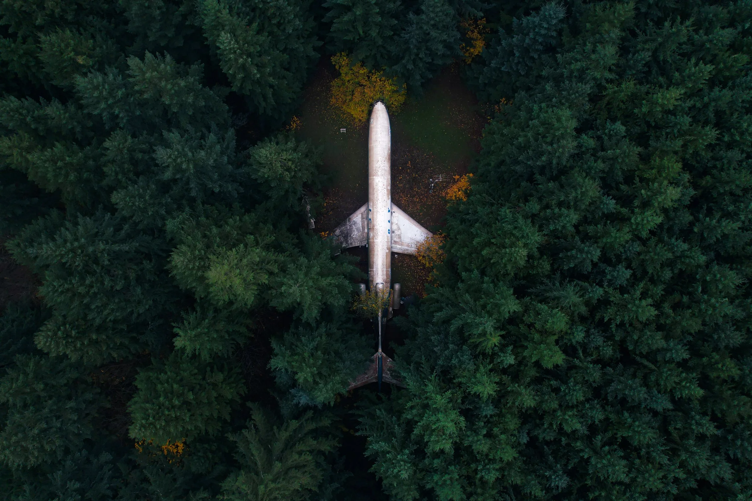 An aerial view of a large airplane fuselage in a dense forest of evergreen trees.