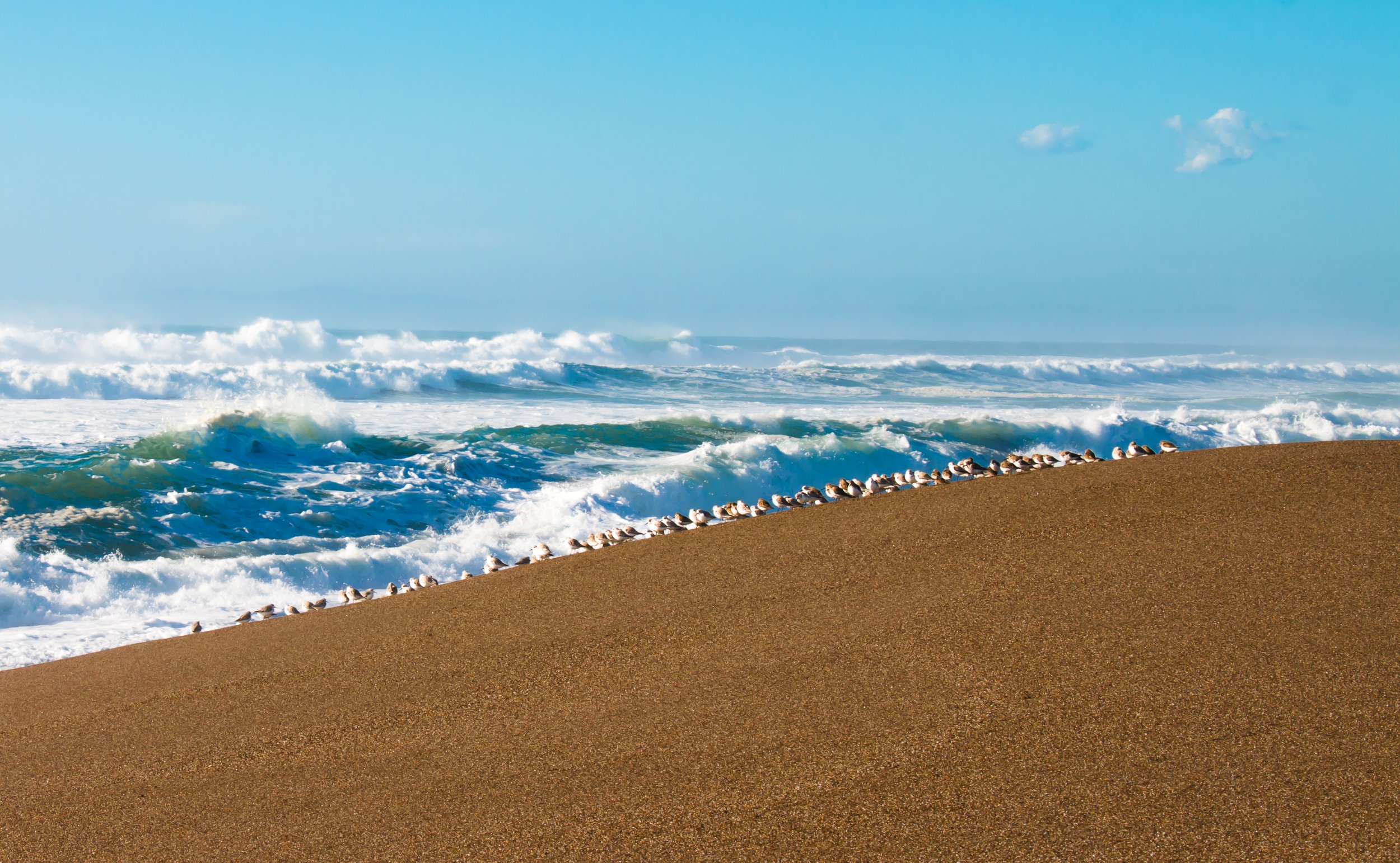 Keltan Lawler Photography | Keltan Photography | Point Reyes National Park | Point Reyes National Seashore Travel