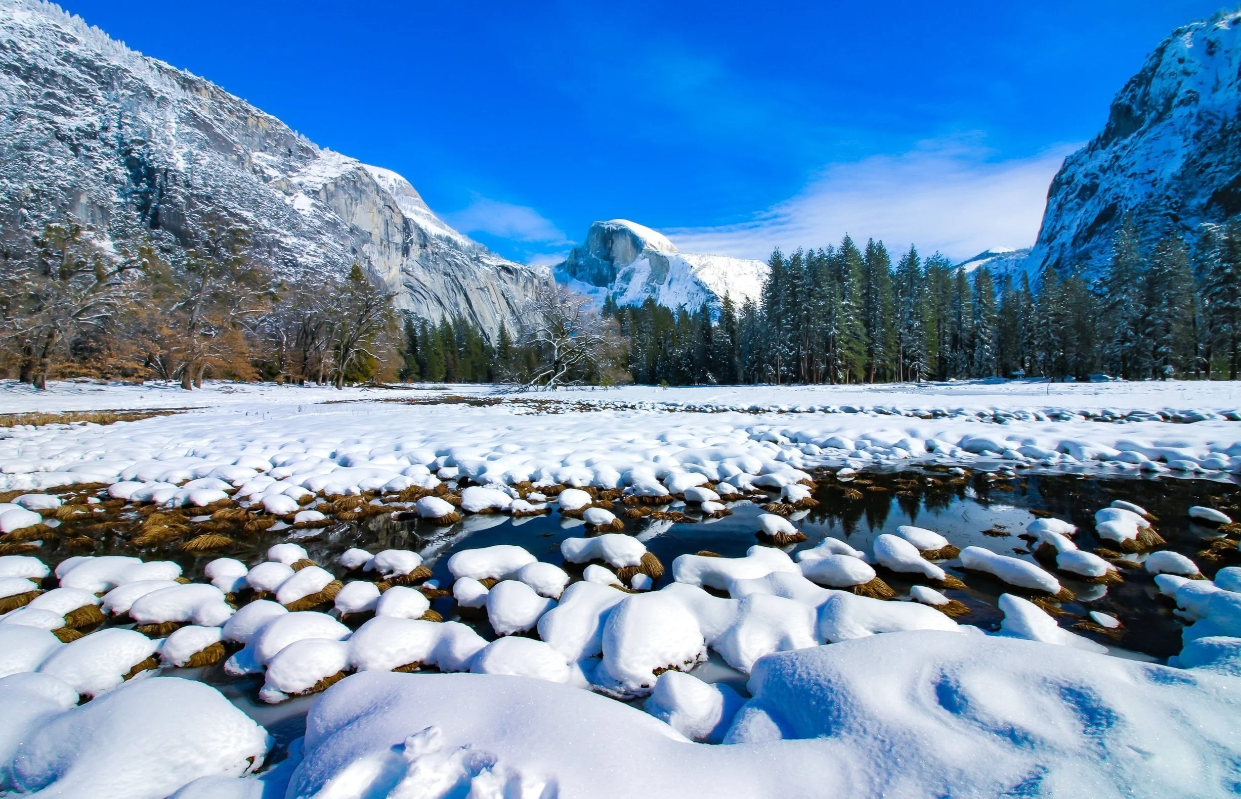 Yosemite National Park