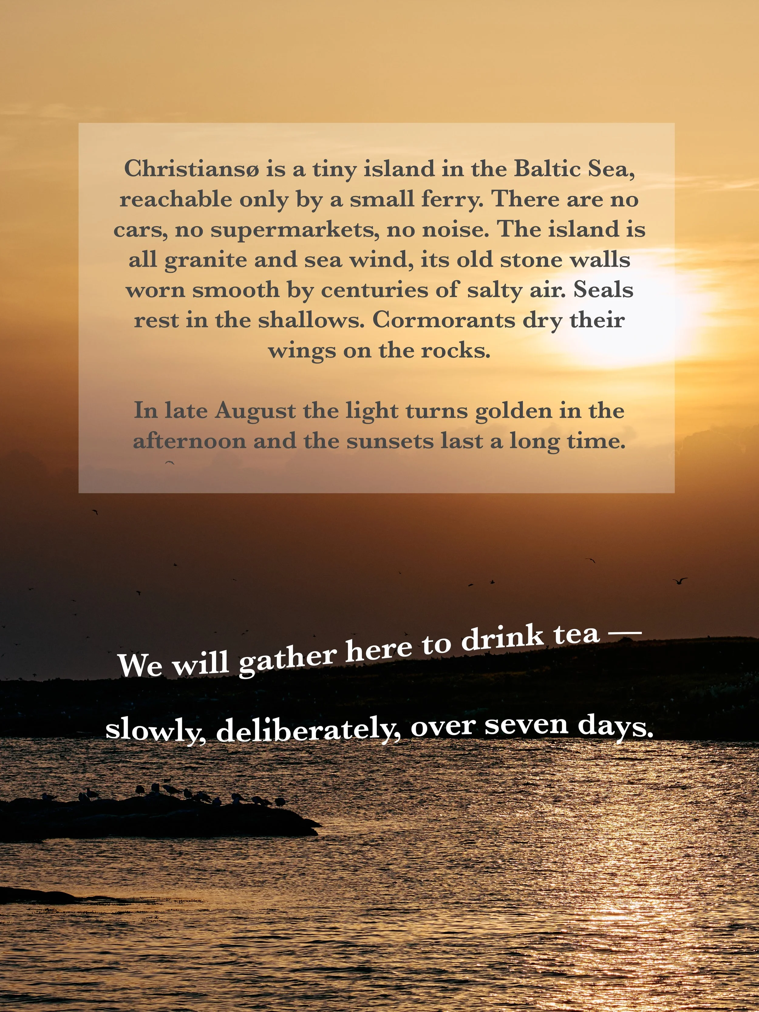 vertical-page-3.jpg