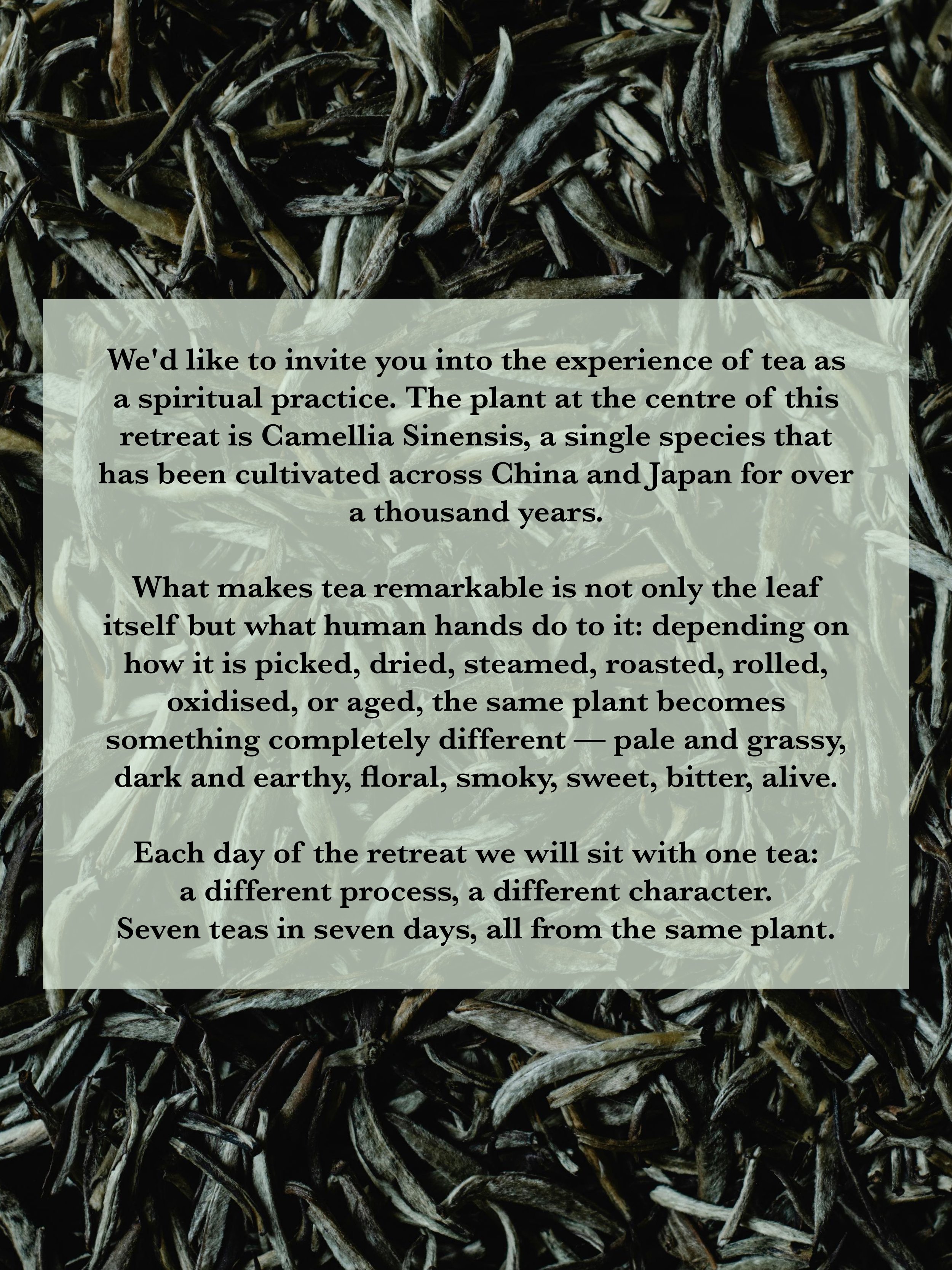 vertical-page-4.jpg
