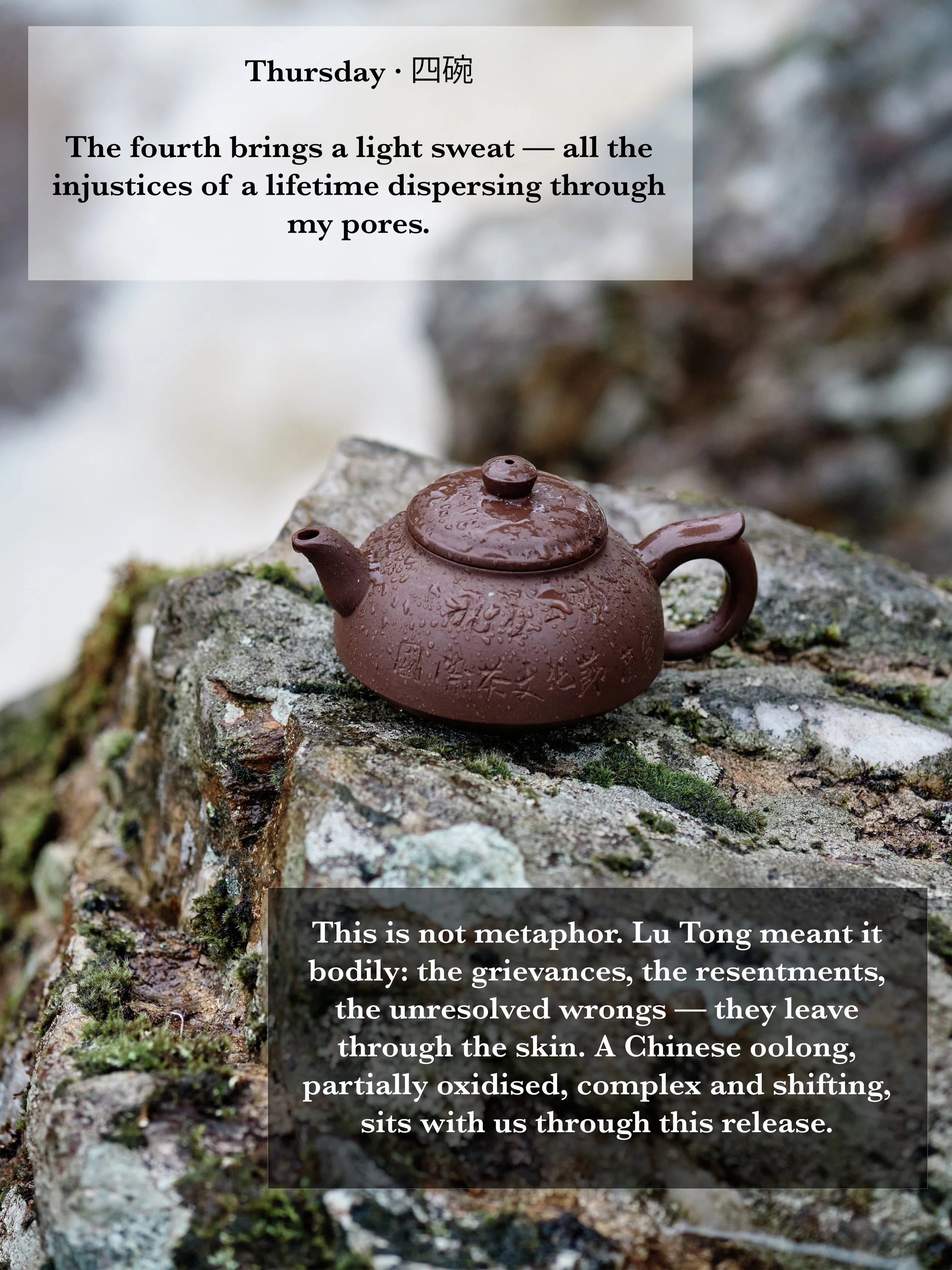vertical-page-11.jpg