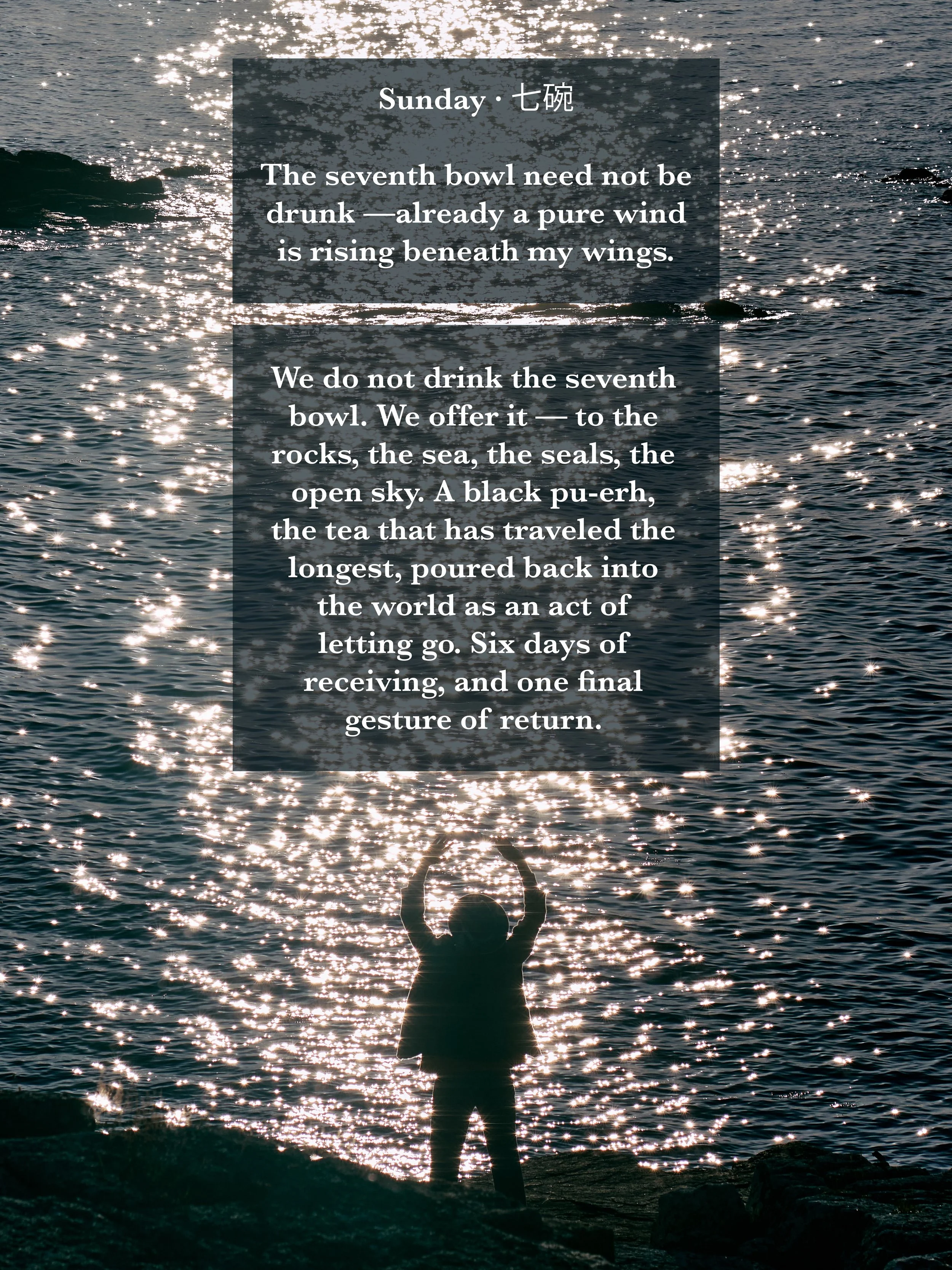 vertical-page-14.jpg