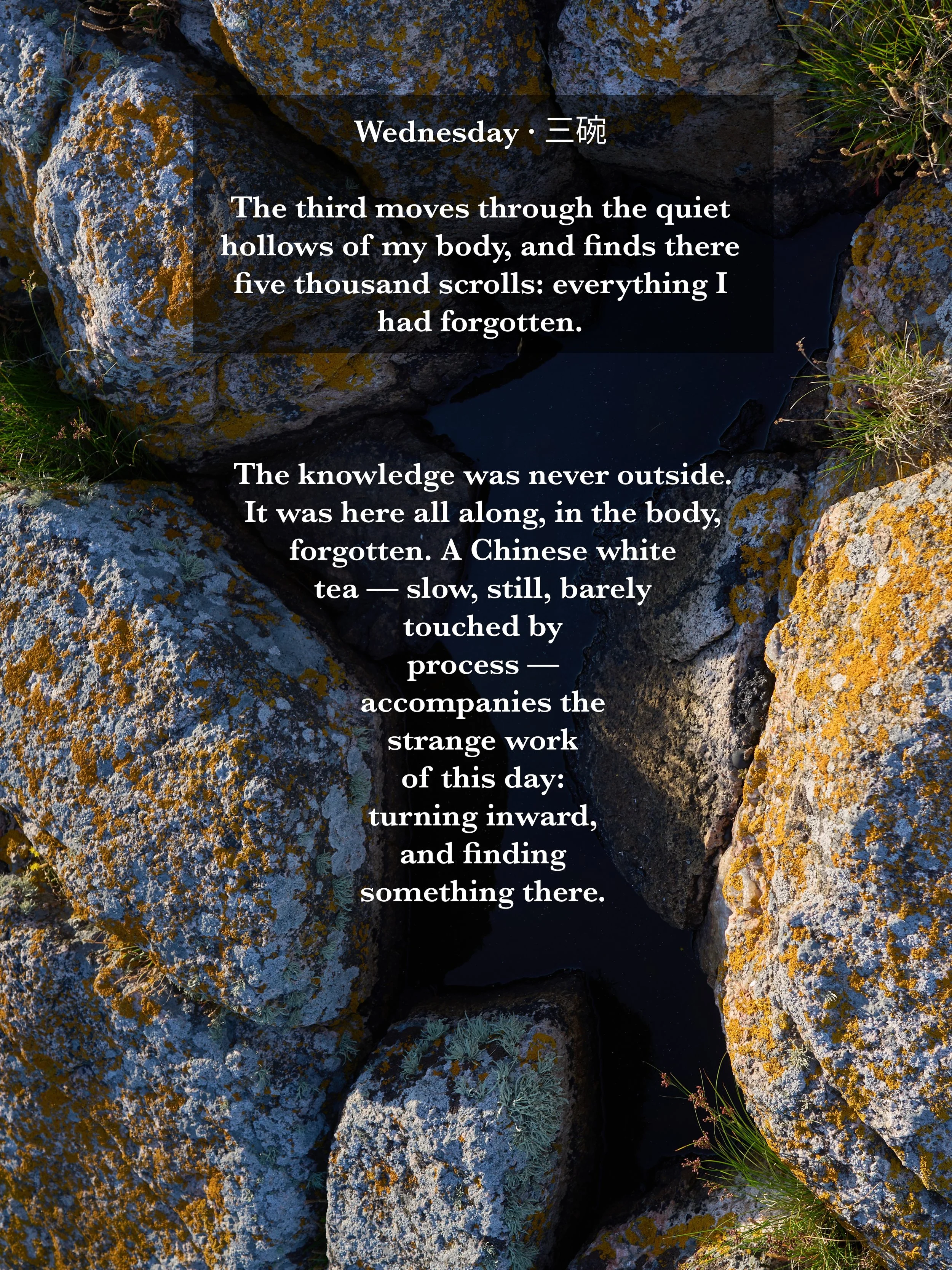 vertical-page-10.jpg
