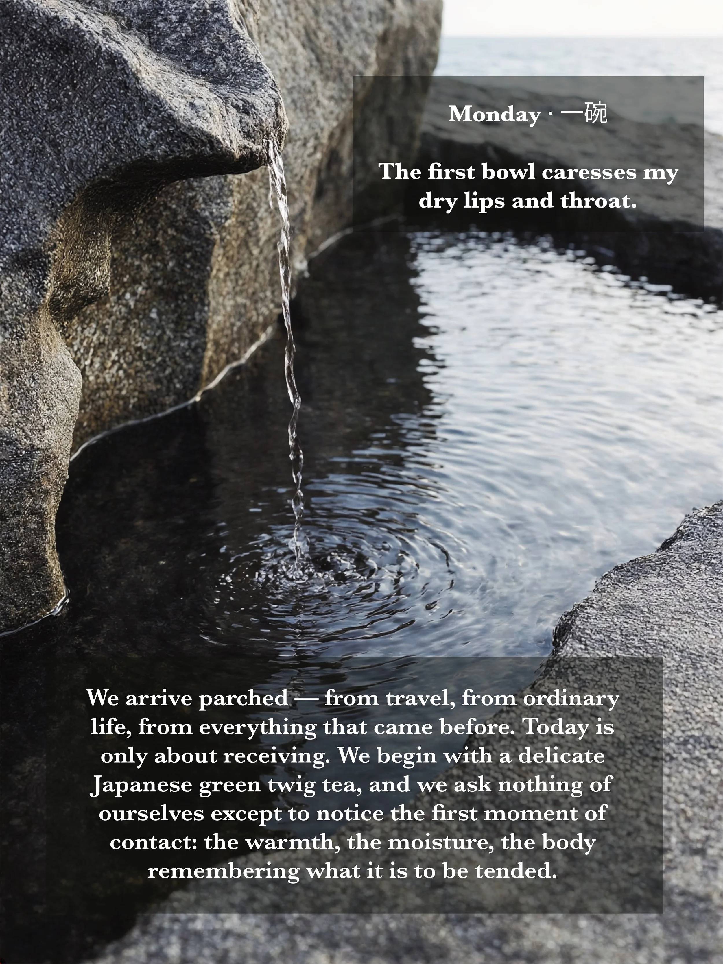 vertical-page-8.jpg