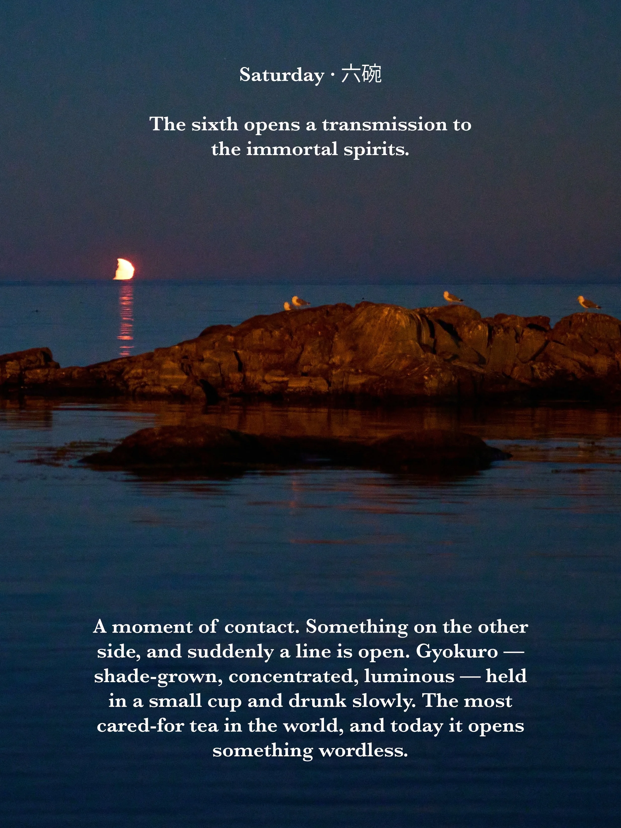 vertical-page-13.jpg