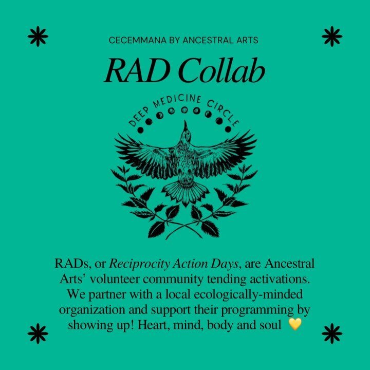 🤲Have you ever been to a RAD❔

🌻RADs, or Reciprocity Action Days, are volunteer community tending activations. We partner with local values-aligned organizations to support their mission-driven projects with our hearts and hands.

Part of our herba