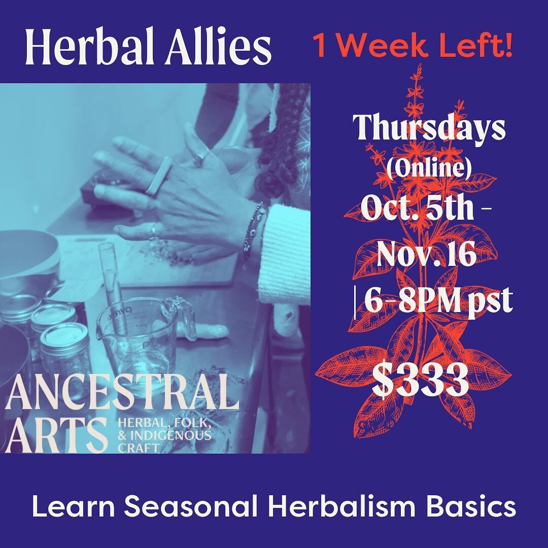 We are so excited to bring a circle of fresh hands together for our Fall Herbal Allies session! 🍁

🧭Guided by your experiential medicine box, meet new plants, learn beginner-friendly medicine making techniques, and discuss ecology spirit based prac