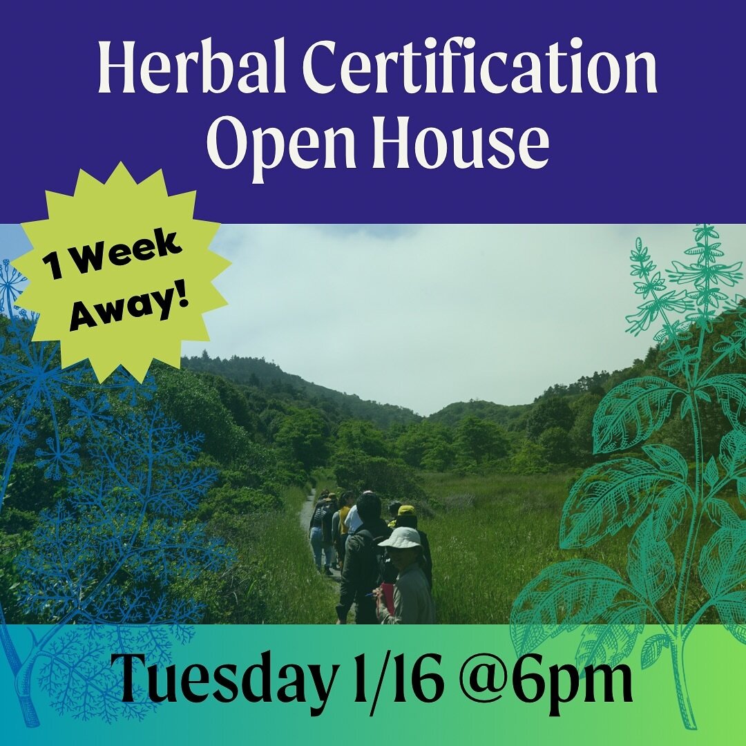 Register for our upcoming open house at our link in bio! 

📓Learn about our Year 1 Semillas Home Herbalist program
👩🏽&zwj;🏫 Meet your instructors
🙋🏻&zwj;♀️Ask questions
😎 Check the vibe