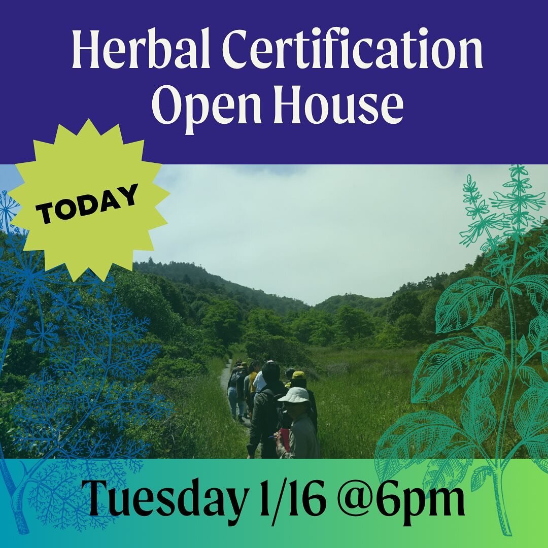 Upcoming Classes!

TONIGHT ⭐️Join our Open House⭐️ for our Herbal Certification at 6pm PST via Zoom (Link in Bio)

💨 Curanderx Comunidad Dates are out! 🌷
Join us April 1st - May 20th for a new course in practical Curanderismo, offered with a Spring