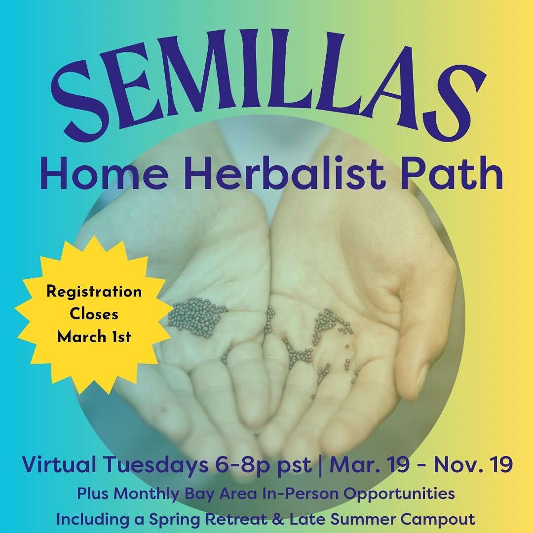 Registration closes in 4 Weeks! 🔆
Applications due March 1st

🌿Journey with Ancestral Arts for your Herbal Certification 

🎓Learn home herbalism skills like medicine making, plant ID, how to support your body systems with plants, and more 

🎗️Joi