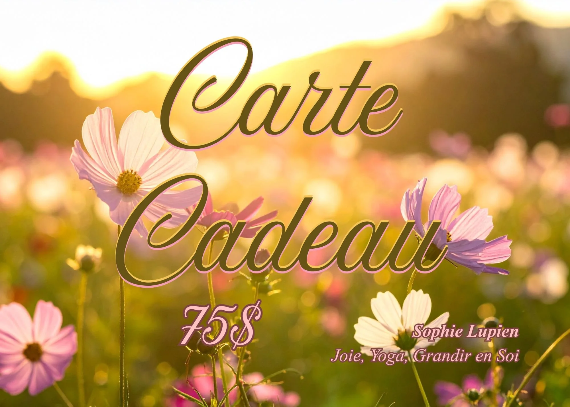 Carte Cadeau Printemps 75.jpg