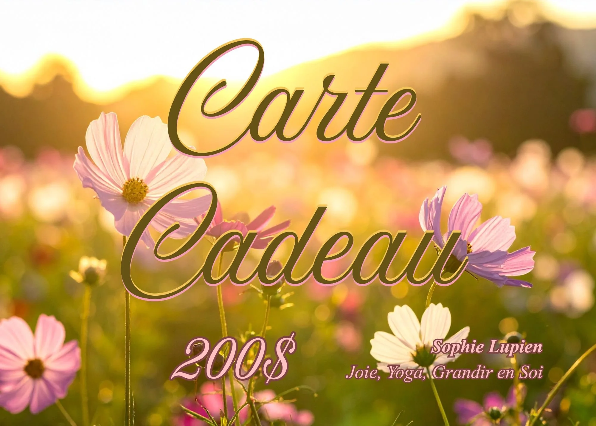 Carte Cadeau Printemps 200.jpg