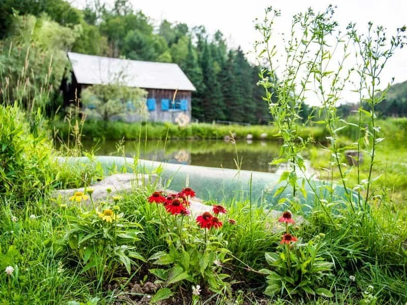 le-lac.jpg
