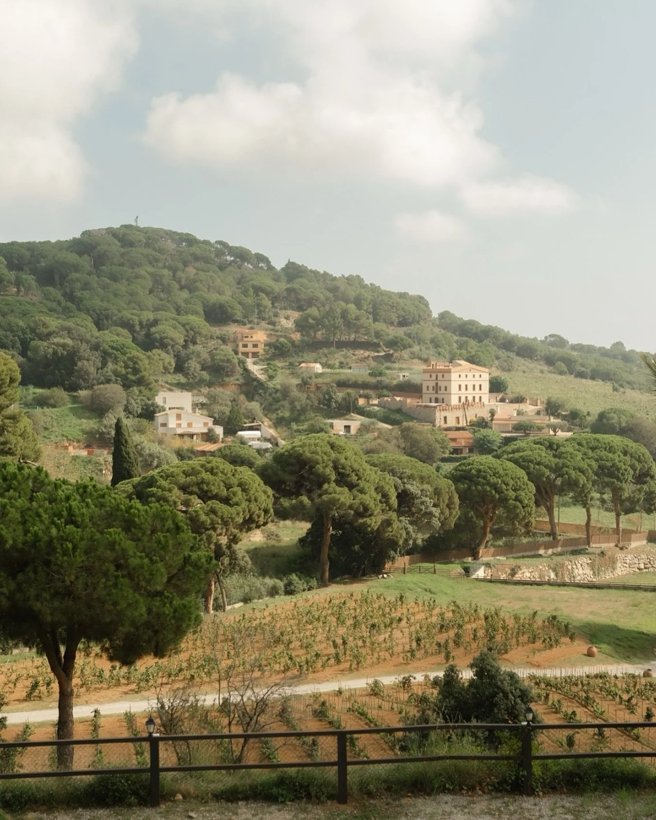 Landscape 

#weddingphotographer #barcelonawedding