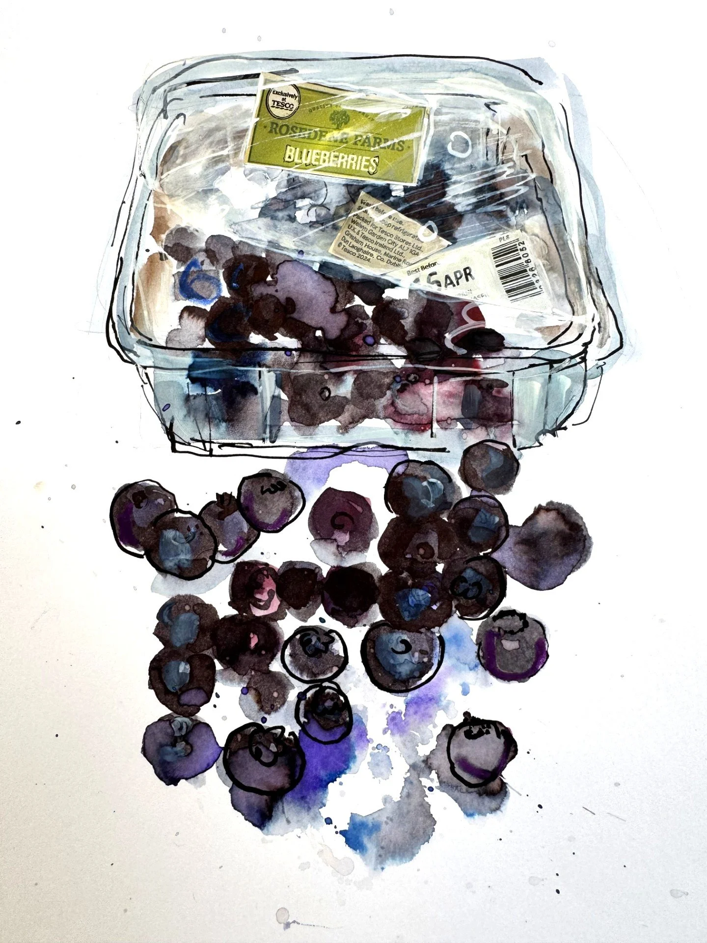All You Need is a Blueberry!